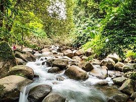 อุทยานแห่งชาติน้ำตกพลิ้วอุทยานแห่งชาติน้ำตกพลิ้วจันทบุรี